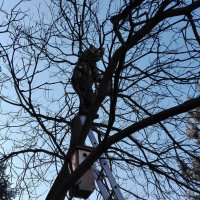 IMG_20160226_102047