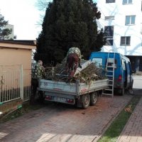 IMG_20160226_103828