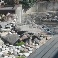 IMG_20160502_162530