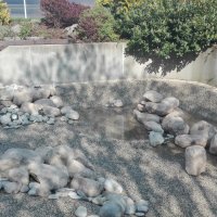 IMG_20160502_162558