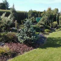 IMG_20160608_083227