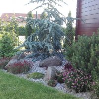 IMG_20160608_083251