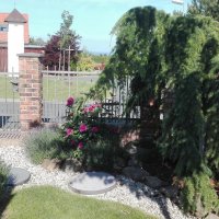 IMG_20160608_083326