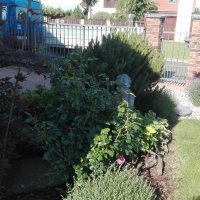 IMG_20160608_083336