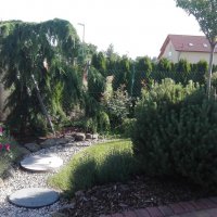 IMG_20160608_083400