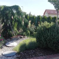 IMG_20160608_083401