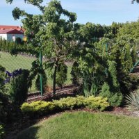 IMG_20160608_083457