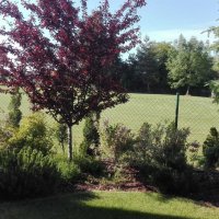 IMG_20160608_083508