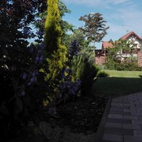 IMG_20160608_083536