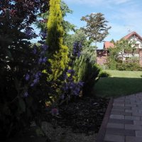 IMG_20160608_083537