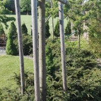 IMG_20160608_083614