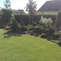 IMG_20160608_083714