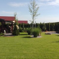 IMG_20160608_083719