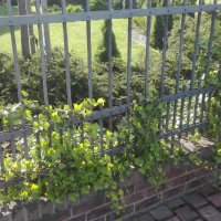 IMG_20160608_084011