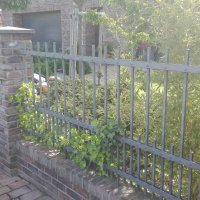 IMG_20160608_084021