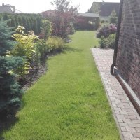 IMG_20160608_084859