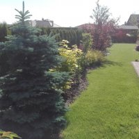 IMG_20160608_084903