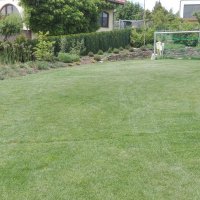 IMG_20160601_134405