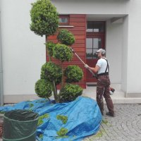 IMG_20160530_111403