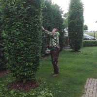 IMG_20160530_112224
