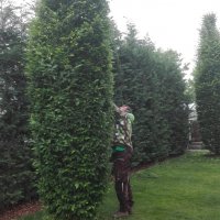 IMG_20160530_112229