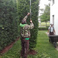 IMG_20160530_112240