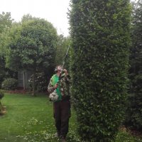 IMG_20160530_112301