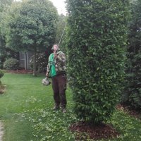 IMG_20160530_112305