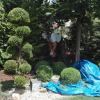 IMG_20160530_130802