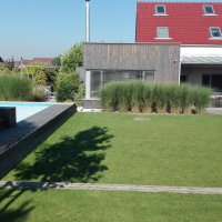 IMG_20160908_094653