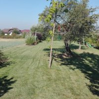 IMG_20160908_094913