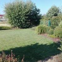 IMG_20160908_095039