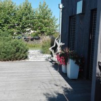 IMG_20160908_095435