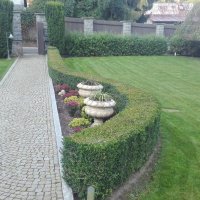 IMG_20160907_084453