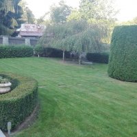 IMG_20160907_084459