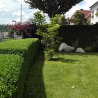 IMG_20160614_130849