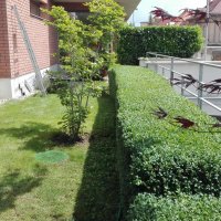 IMG_20160614_131209