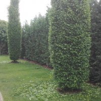IMG_20160530_111252