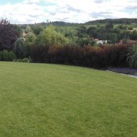 IMG_20160704_131025