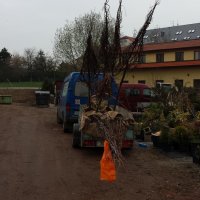 20140328_100501