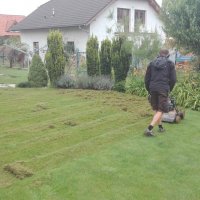IMG_20160810_084815