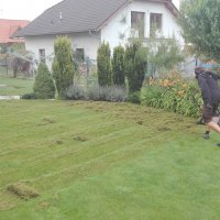 IMG_20160810_084817